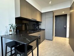 Park Colonial (D13), Condominium #565847231